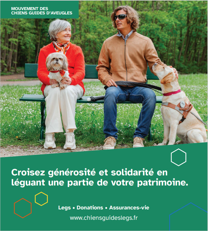 Capture d’écran brochure