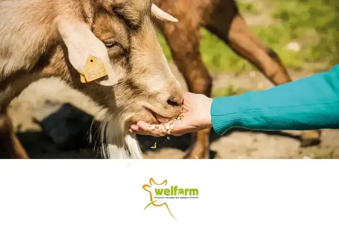 Welfarm