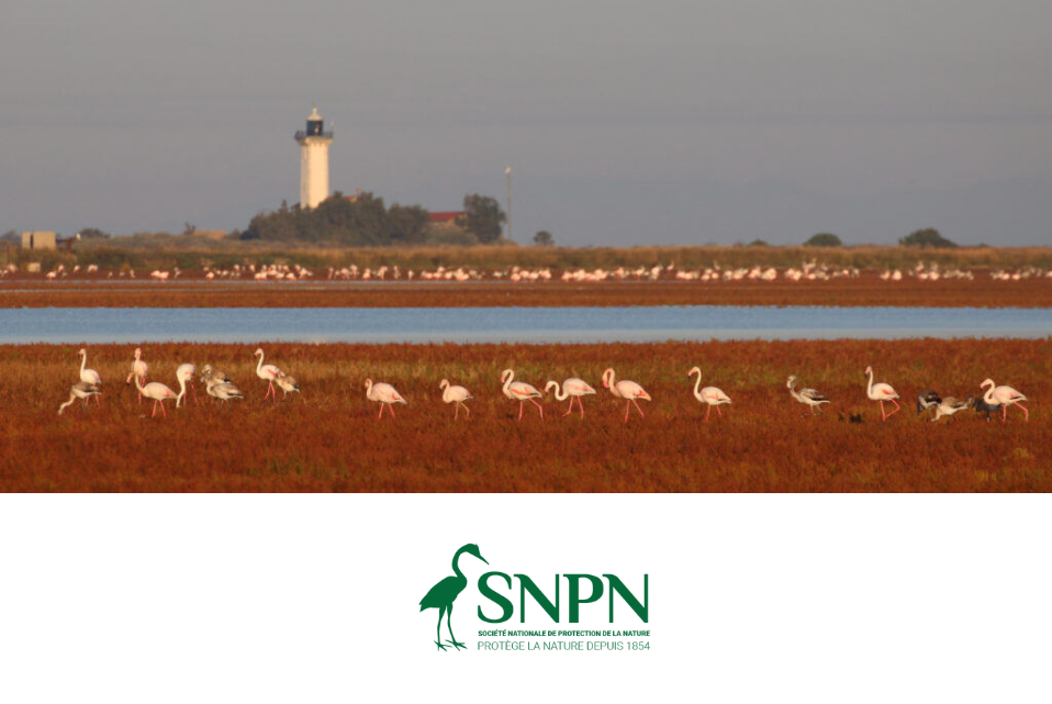 IMAGES SLIDER SITE WEB (6)