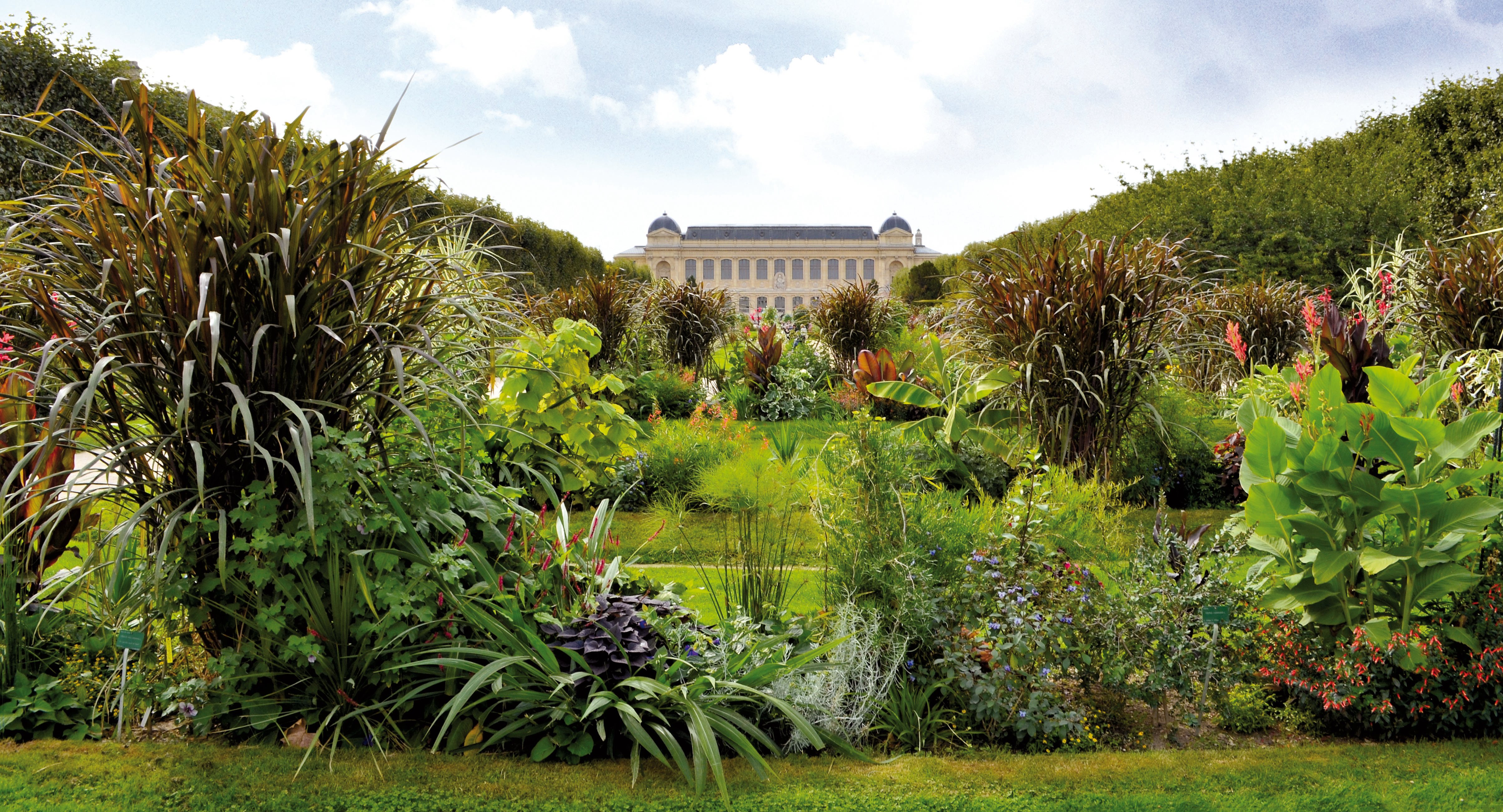 Jardin des plantes © MNHN - Jérôme MUNIER
