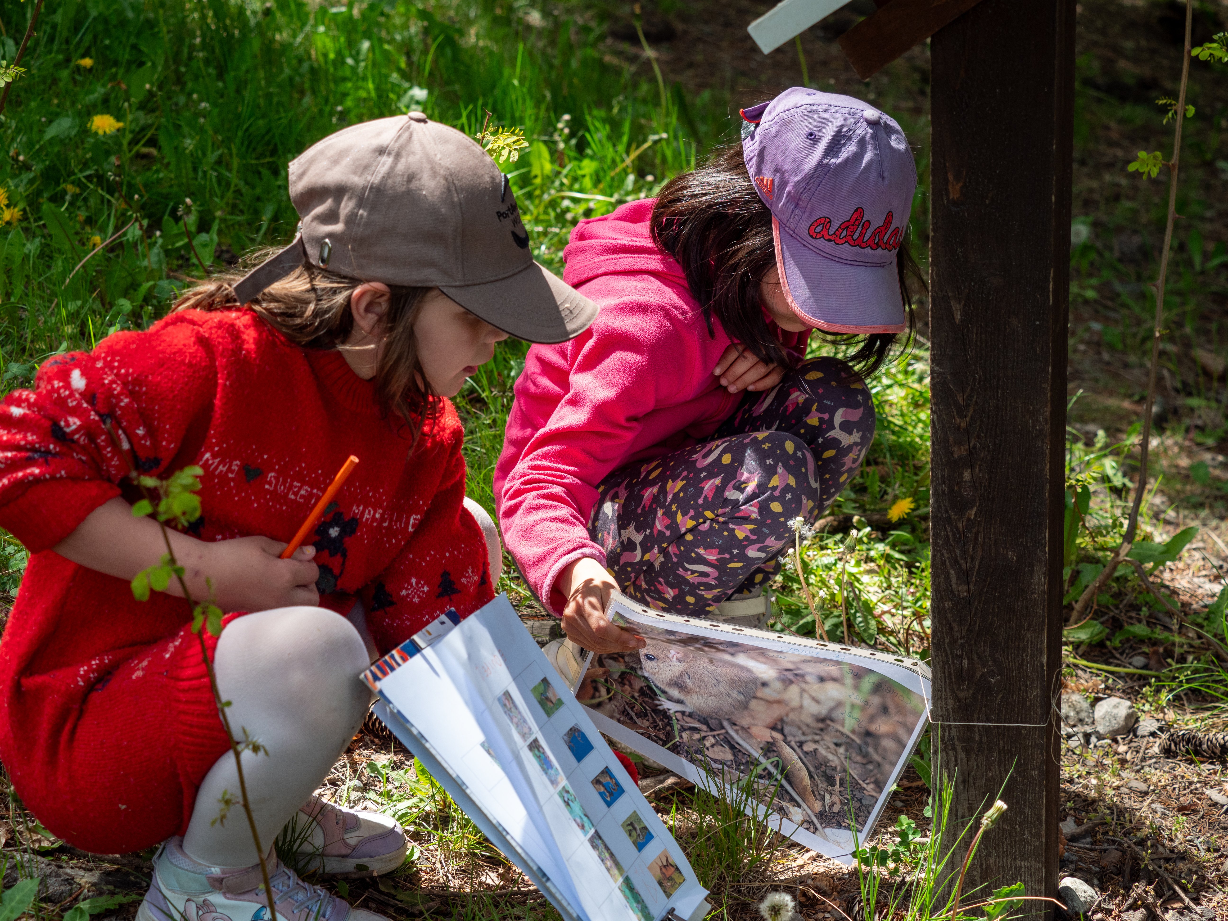 Jeunesse au plein air - photo2