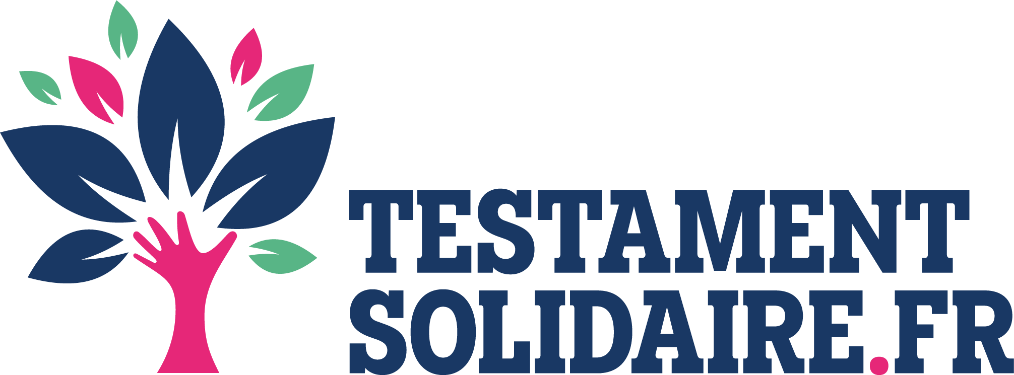 Testament Solidaire